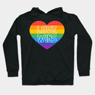 Rainbow pride love winds LGBTQ ally graphic Hoodie